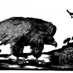 La Tartaruga e l'aquila, 2009Xilografia - mm 380x645