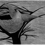 Il nido vuoto, 2013Bulino su metacrilato a stampa tipografica (stampa in rilievo) – mm 260x380 – Tiratura: 30 arabi Foglio mm 350x500 - Stampata dall’artista