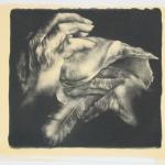 La Nascita dell'Angelo, 1979Maniera nera litografica - mm 310x390