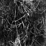 Un fazzoletto d’erba, 2010Acquaforte su zinco – mm 375x375