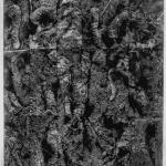 Il giardino delle vergini suicide, 2001Puntasecca su plexiglas - mm 510x405