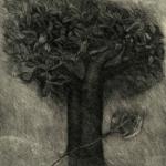 Il mio albero, 1996Soft ground etching, etching - mm 320x240