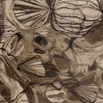 Laura AllegroOrganismi, 2015Etching, aquatint, soft-ground etching on zinc - mm 145x198