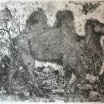 Cammello, 1978Etching – mm 240x323