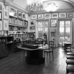 Il Bisonte - The library