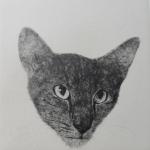 Anna Radko-Pedersen Oriental cat, 2008 Drypoint - mm 150x150