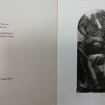Sandro Ciriscioli Meteora, 2016 Acquatinta brunita inserita in cartella con poesia di E. De Signoribus - mm 193x92
