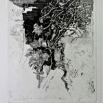 Grapes, 2021Etchin, soft ground etching- mm 300x240