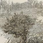 Colline controluce, 1960 Etching - mm 267x200