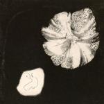 PD060 Occorre sempre parlare di pace, 1975 Etching, aquatint on copper - plate mm 250x250sheet mm 493x349 - edition pds