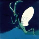 PD098 Mantis, 1976 (°°°°) Litograph on zinc in colors - plate mm 350x350sheet mm 498x448 - edition pds