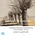 Natura in foglio - Paesaggi e visioni nell'incisione contemporanea - Treviso